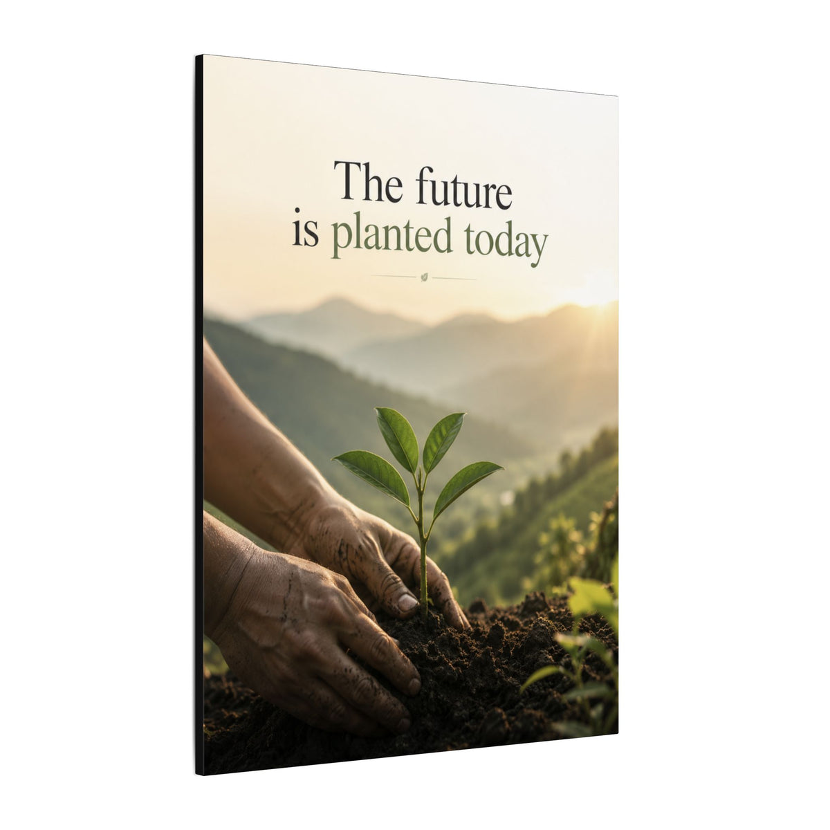 "THE FUTURE IS PLANTED TODAY". Earthsmart Eco Canvas Wall Art (Matte Stretched Print).
