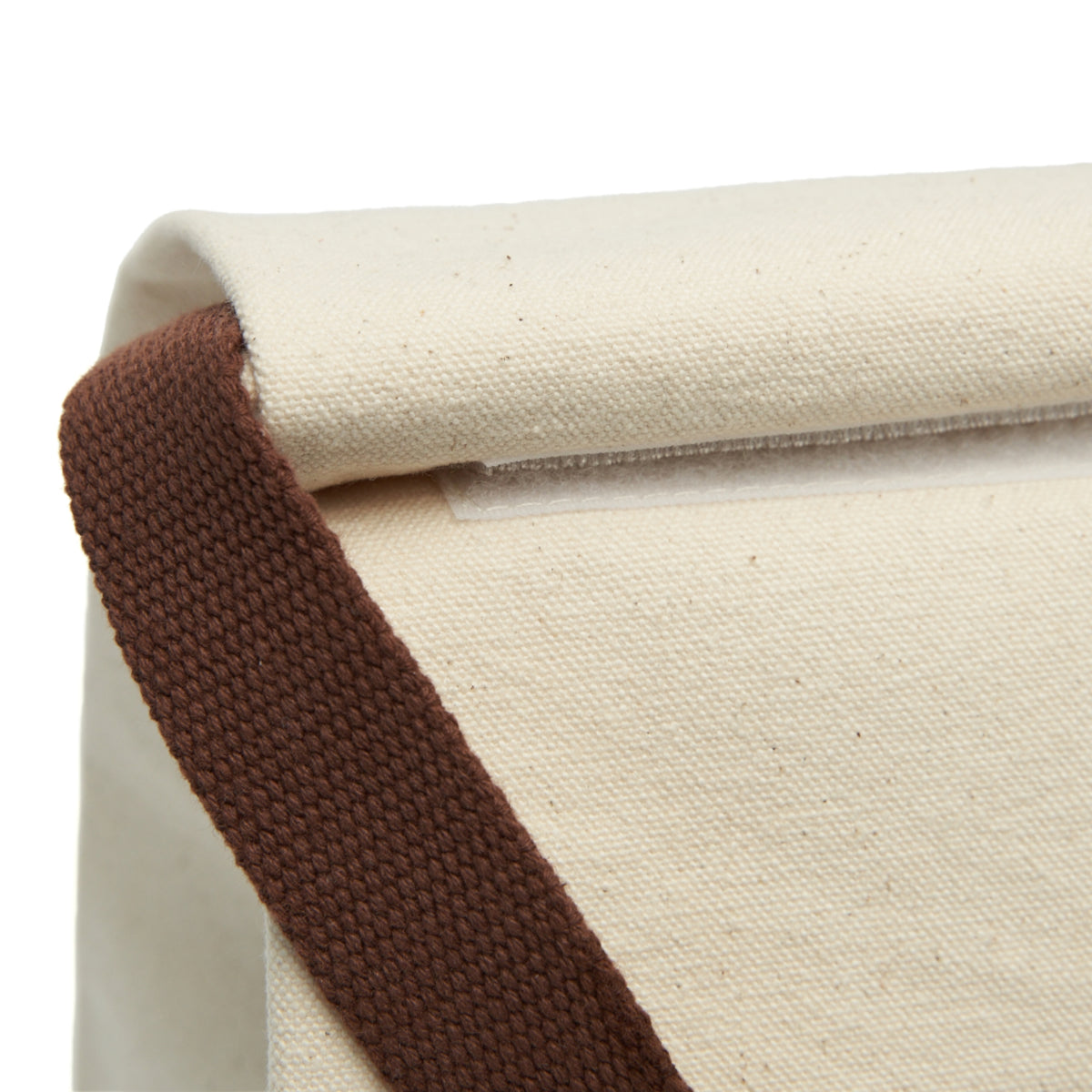 EARTHSMART Eco-Friendly Insulated Lunch Tote with Strap - Canvas Lunch Bag.