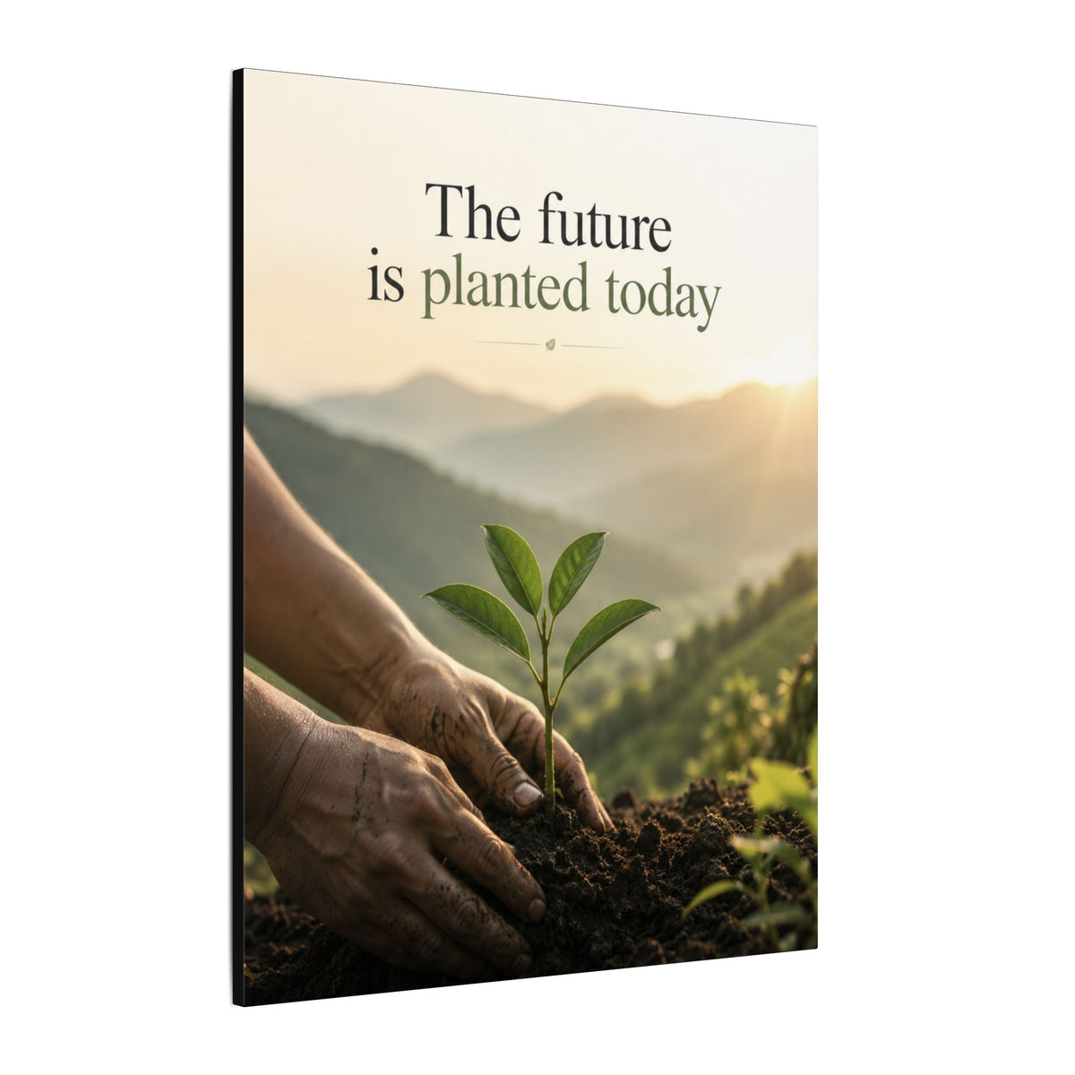 "THE FUTURE IS PLANTED TODAY". Earthsmart Eco Canvas Wall Art (Matte Stretched Print).