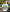 Earthsmart 'EARTH MOOD' Tee — "LOVE EARTH EVERYDAY". (UNISEX).