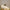 "Climate Action is Love in Motion" - Earthsmart Wall Art.