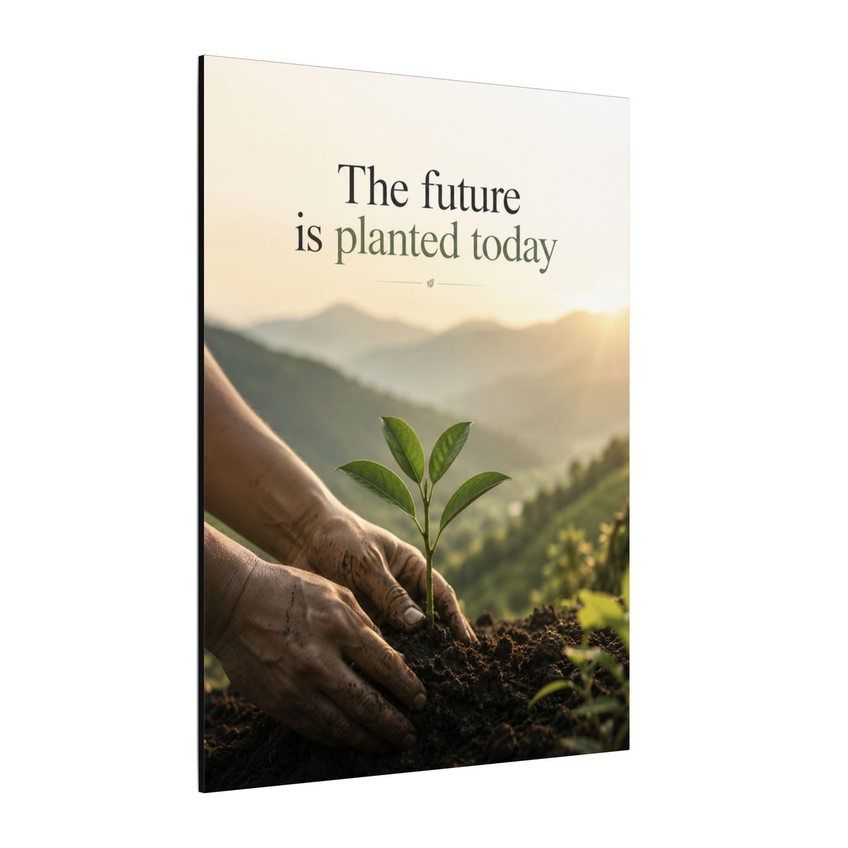 "THE FUTURE IS PLANTED TODAY". Earthsmart Eco Canvas Wall Art (Matte Stretched Print).