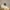 "MAKE PEACE WITH THE PLANET" (Cubist art style). Earthsmart Eco Canvas Wall Art (Matte Stretched Print).