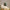 "EVERY TREE IS A PROMISE OF LIFE" (Contemporary art style). Earthsmart Eco Canvas Wall Art (Matte Stretched Print).