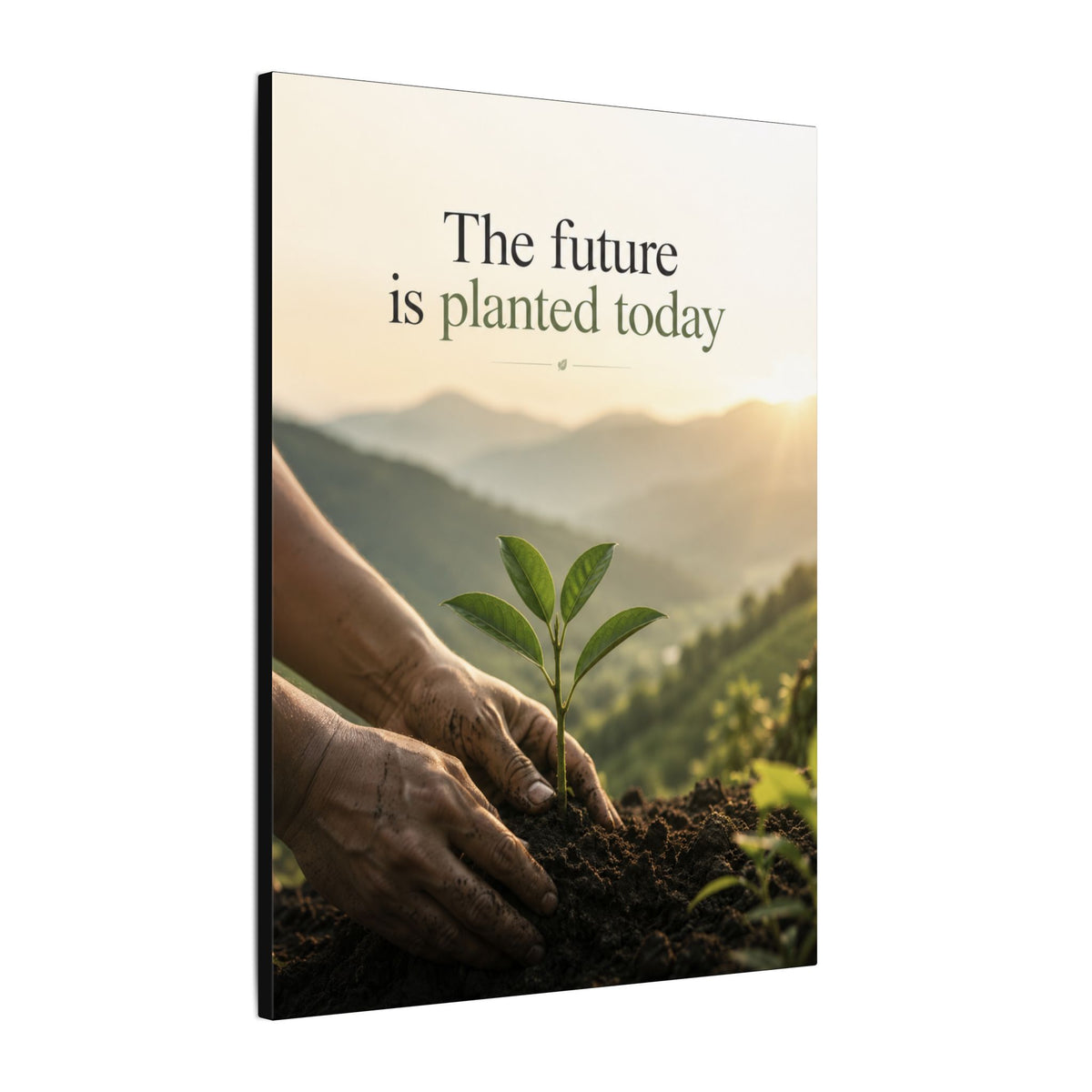 "THE FUTURE IS PLANTED TODAY". Earthsmart Eco Canvas Wall Art (Matte Stretched Print).