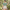 EARTHSMART CROP TOP - 'I LOVE EARTH' — Eco-Friendly - 100% Cotton.