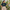 EARTHSMART CROP TOP - 'I LOVE EARTH' — Eco-Friendly - 100% Cotton.