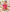 EarthSmart Baby Bodysuit – Eco-Friendly Newborn Onesie (UNISEX).