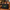 EARTHSMART 'ICONIC' LOGO ECO - TOTE - (50.8 × 35.6 × 12.7 cm)